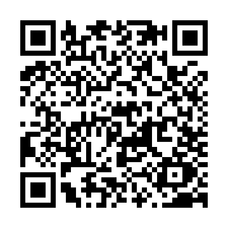 QR code for V439