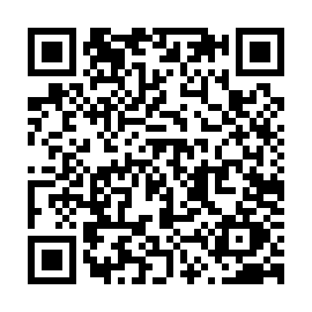 QR code for V441
