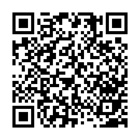QR code for V4655