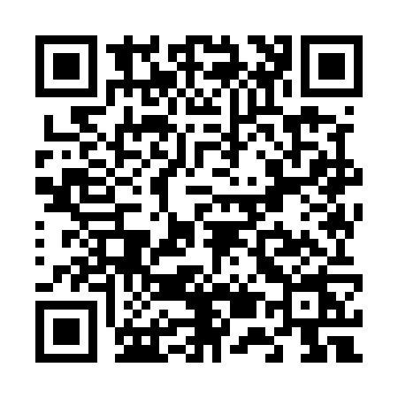 QR code for V595