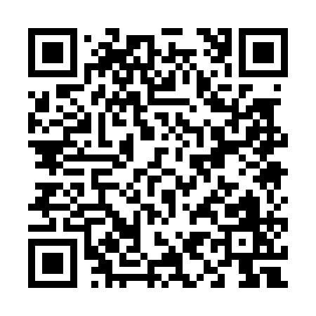 QR code for V9101