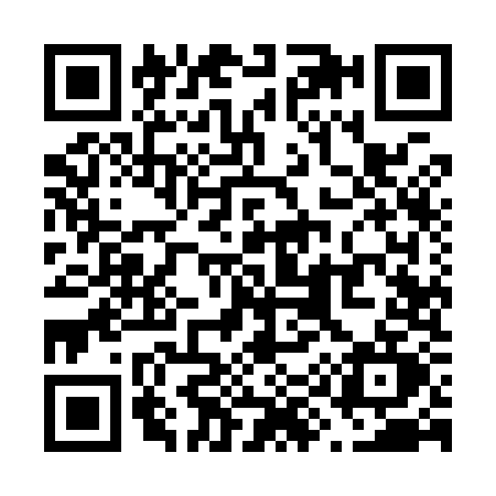 QR code for V999