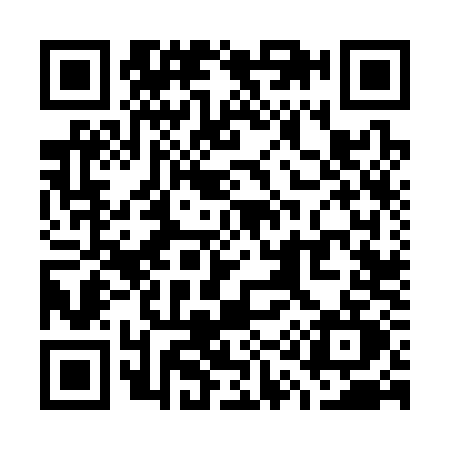 QR code for W163