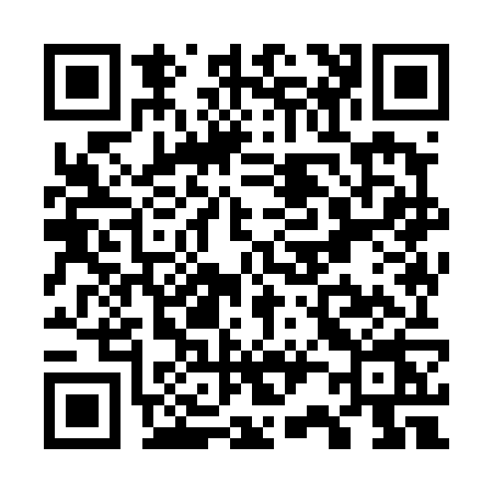 QR code for W294