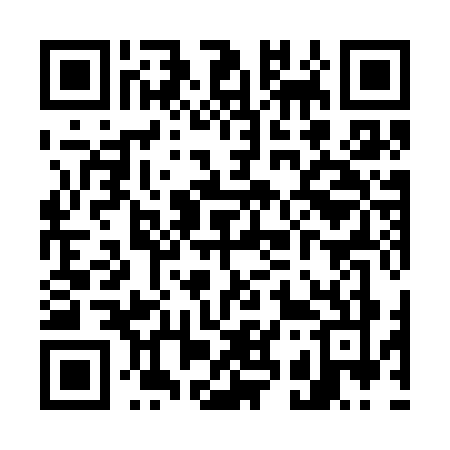QR code for W393