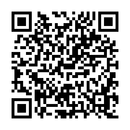 QR code for W541