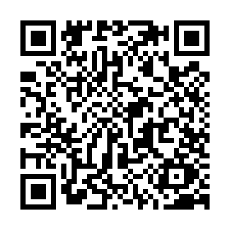 QR code for W595