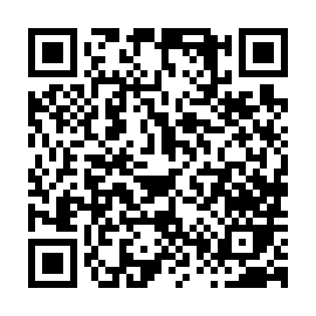 QR code for X0868