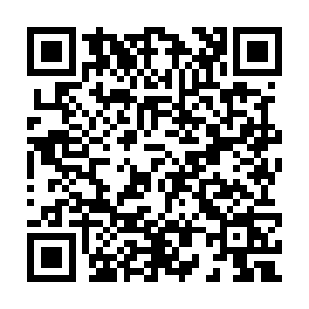 QR code for X095