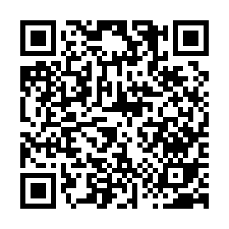 QR code for X1313