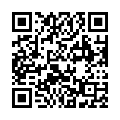 QR code for X29