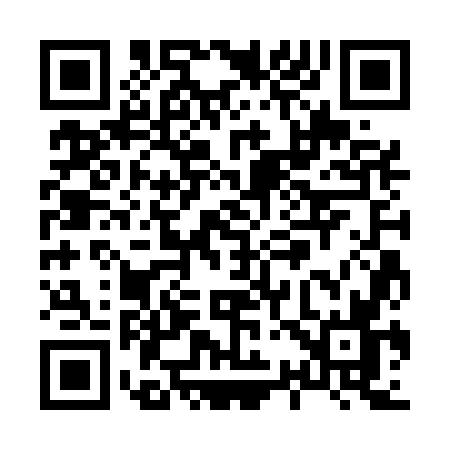QR code for X335