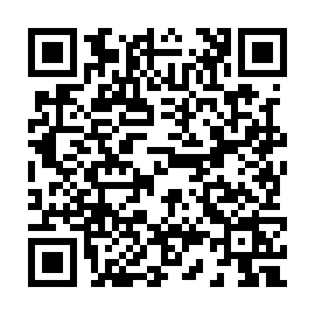 QR code for X381