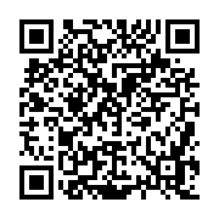 QR code for X395
