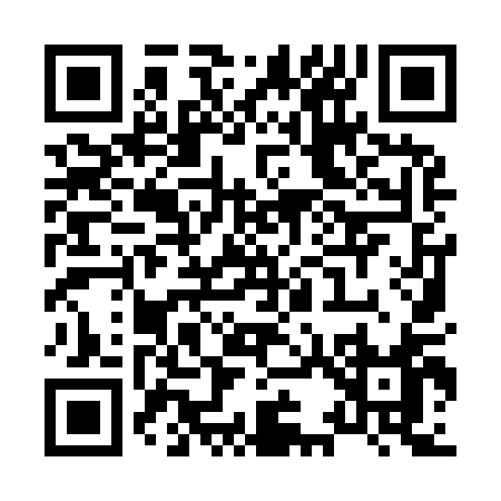QR code for X3991