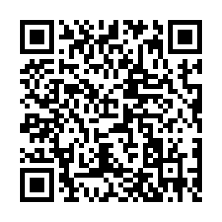 QR code for X4516