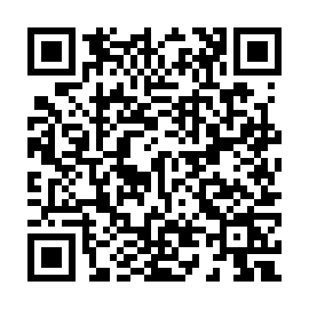 QR code for X453