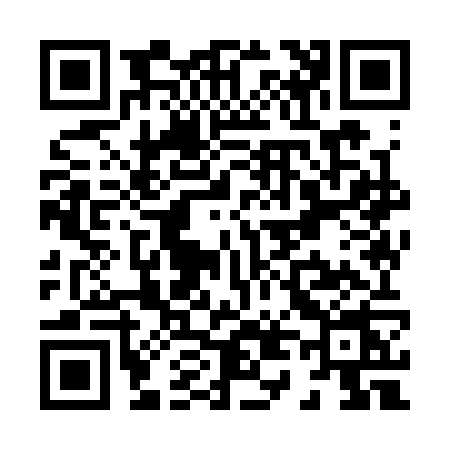 QR code for X493