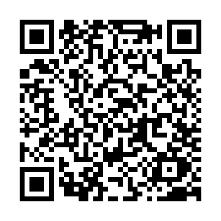 QR code for X533