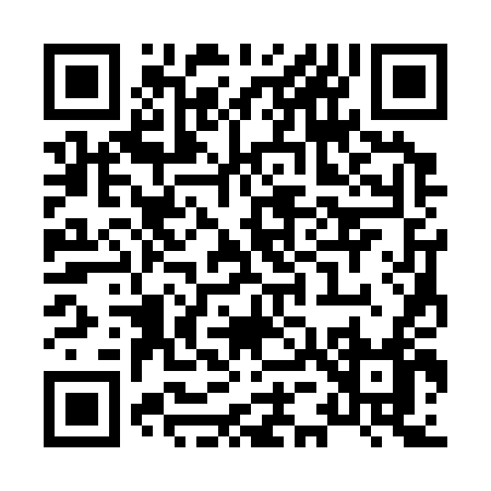 QR code for X5334