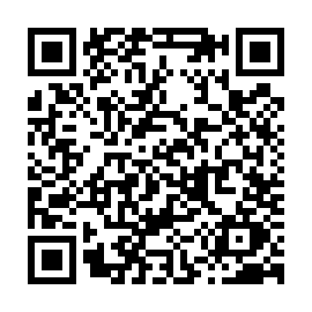 QR code for X535