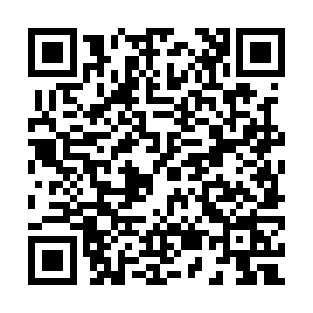 QR code for X541