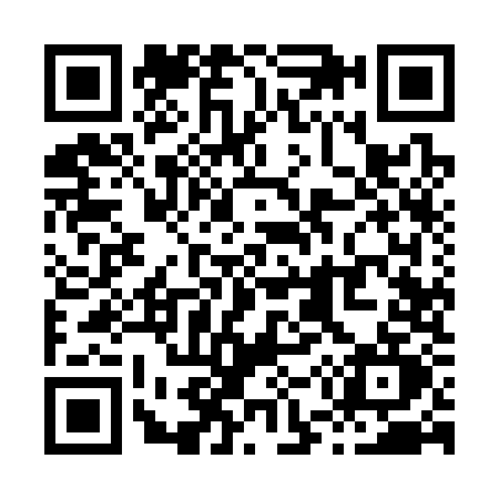 QR code for X593