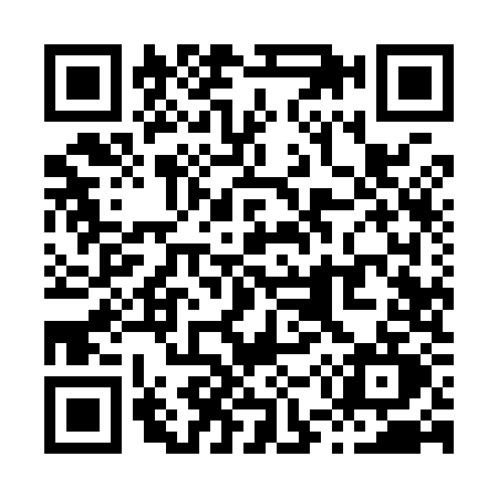 QR code for X599