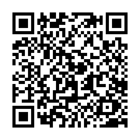 QR code for X603