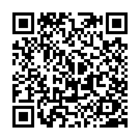 QR code for X617