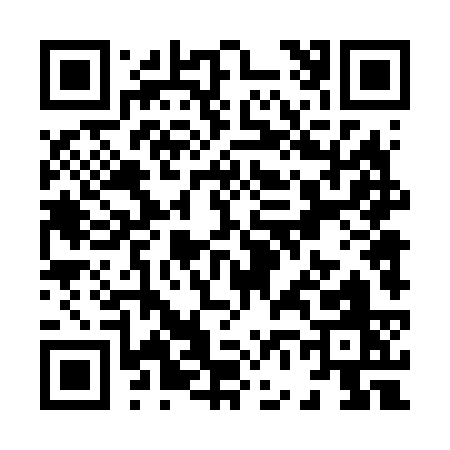 QR code for X6463