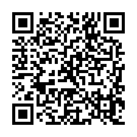 QR code for X6498