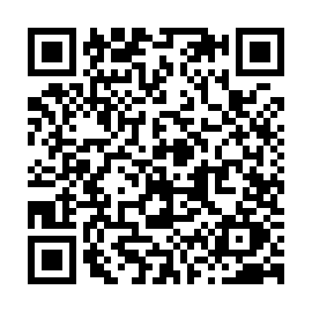 QR code for X699
