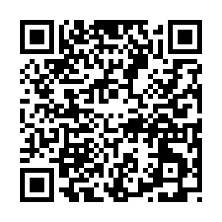 QR code for X9119