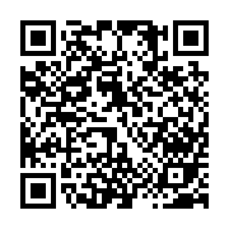 QR code for X9125