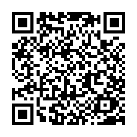 QR code for X919