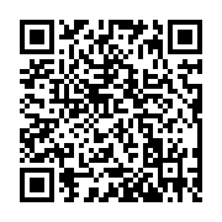 QR code for Y0387