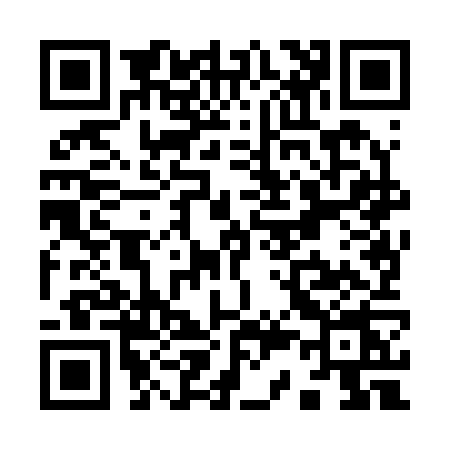 QR code for Y382