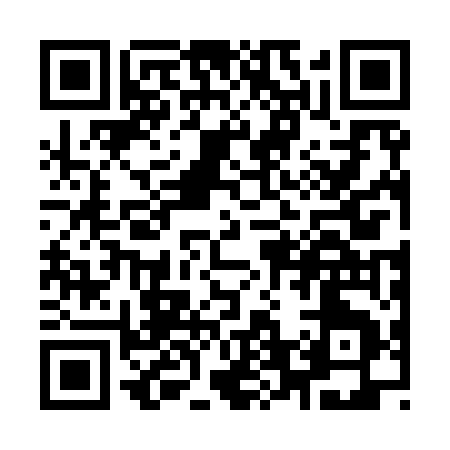 QR code for Y6295