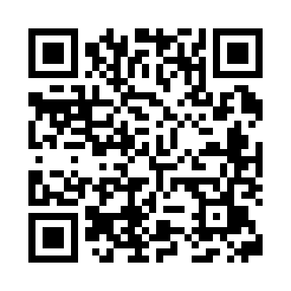 QR code for Y81