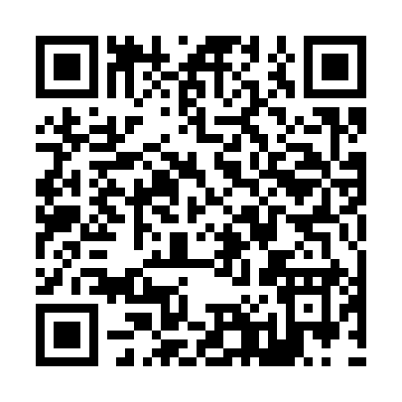 QR code for Z0139