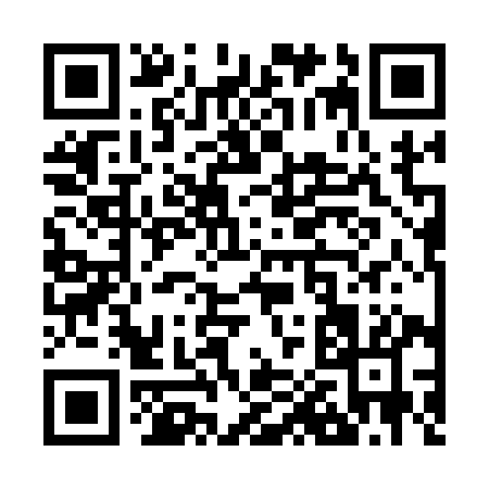 QR code for Z0319