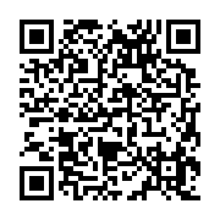 QR code for Z0333