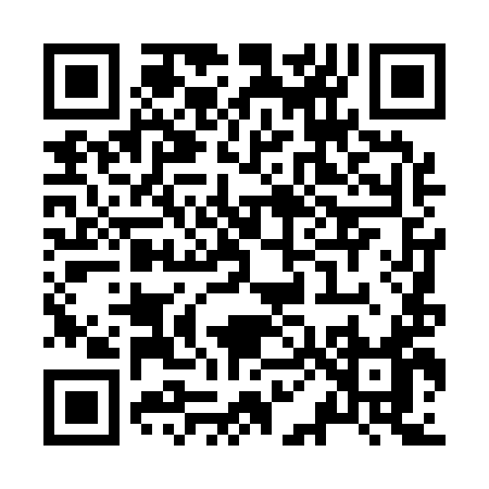 QR code for Z0419