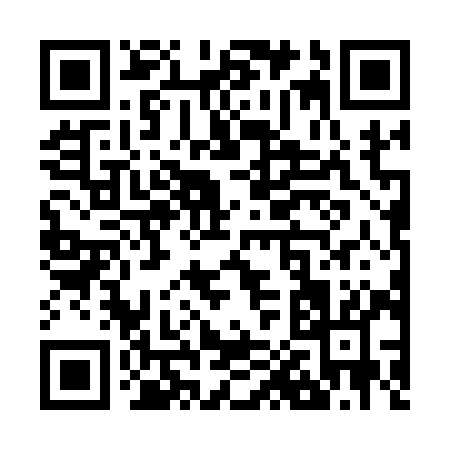 QR code for Z0619