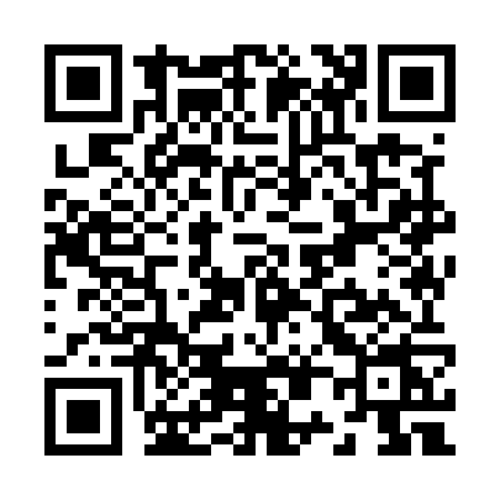 QR code for Z095