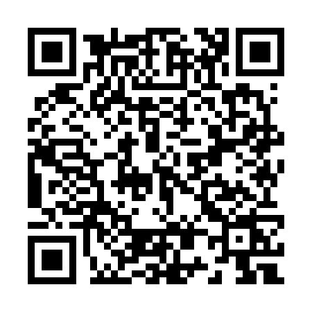 QR code for Z096