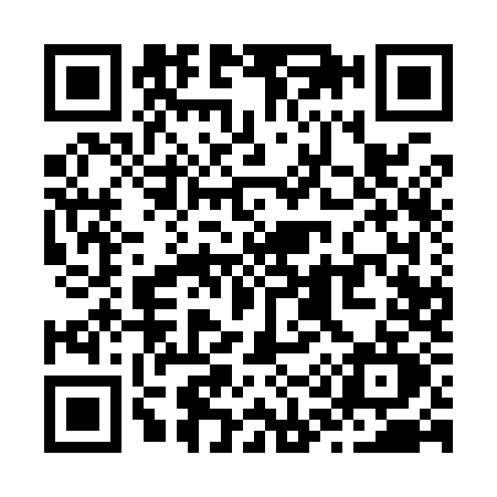 QR code for Z119