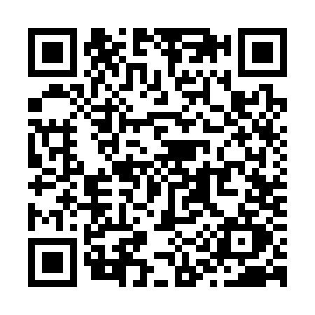 QR code for Z133