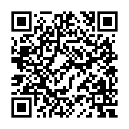 QR code for Z1369